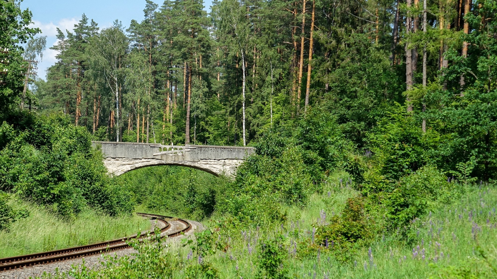 Uroki lata za miastem - zdjęcie 19