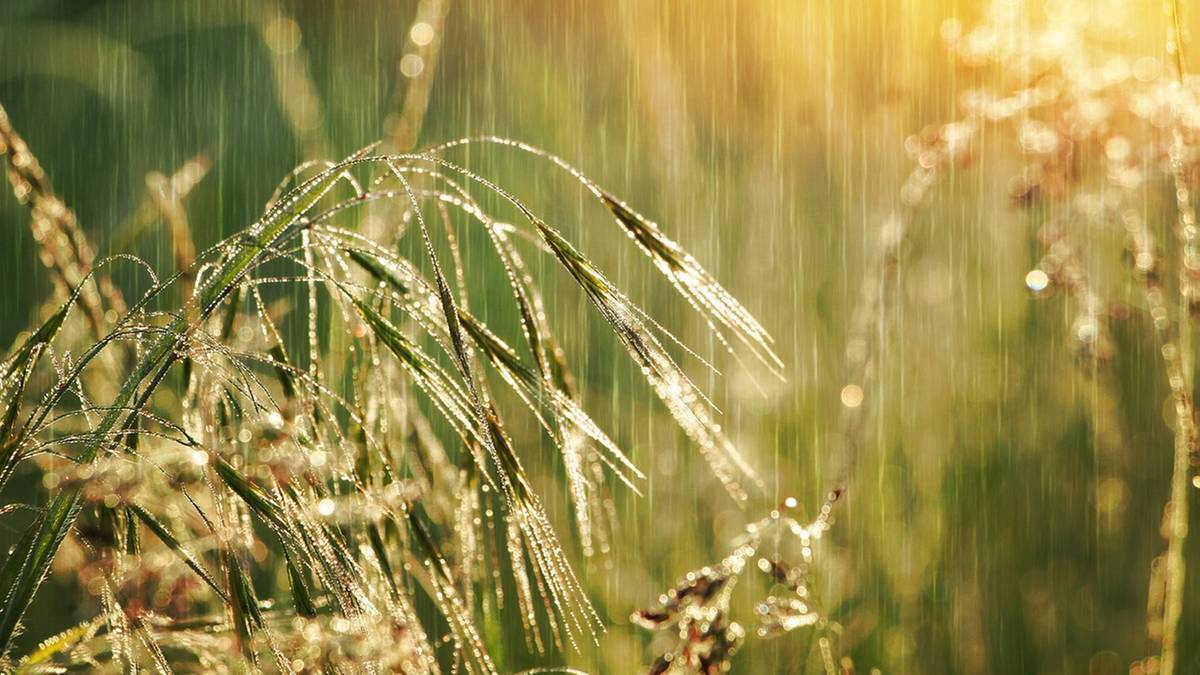 Burze i deszcze nad Polską. Po upałach przyszło ochłodzenie