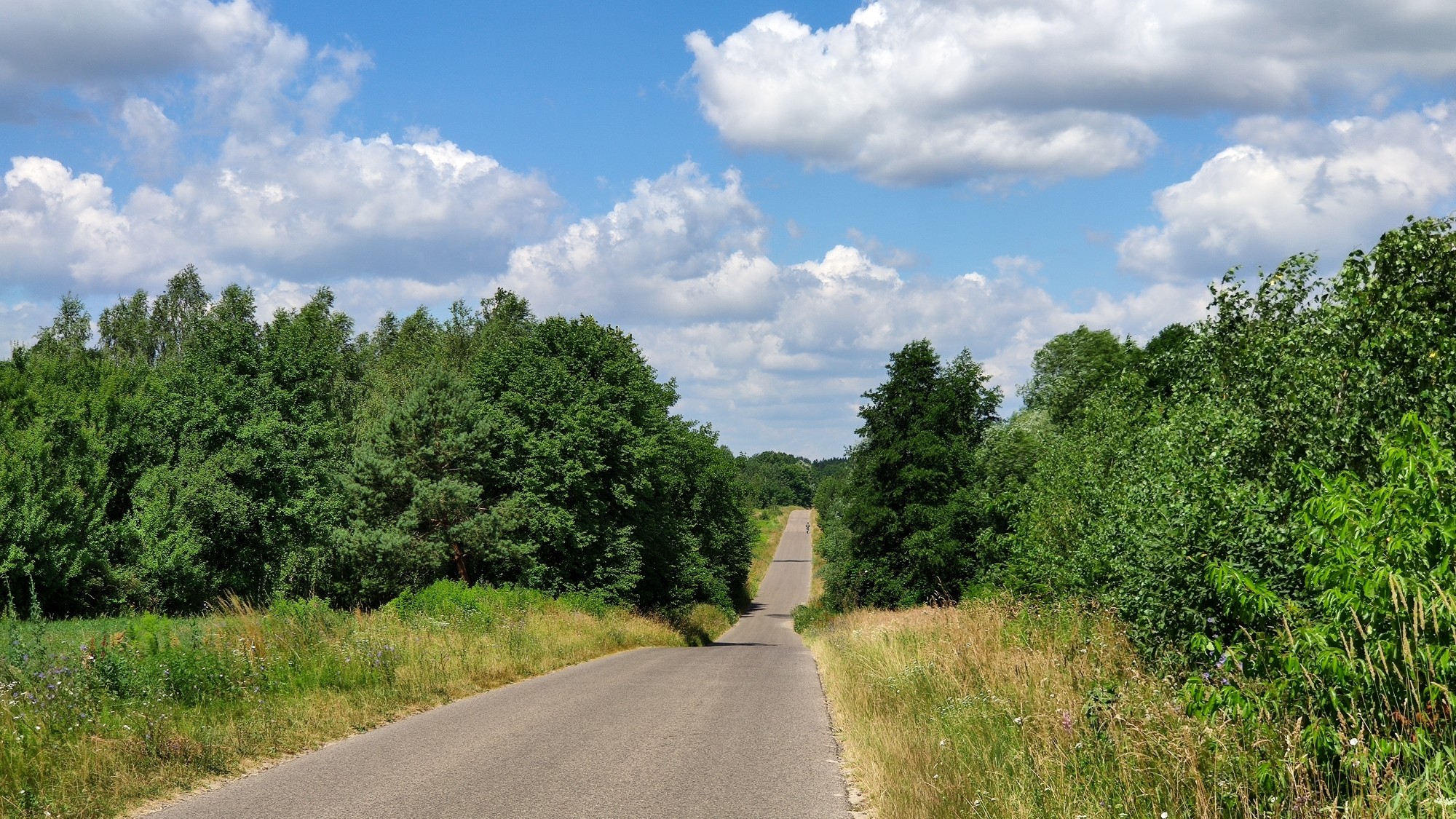 Lipiec w obiektywie - zdjęcie 30