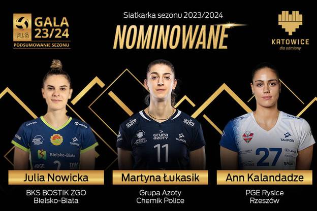 Gala Polskiej Ligi Siatkówki 2024. Wszyscy nominowani
