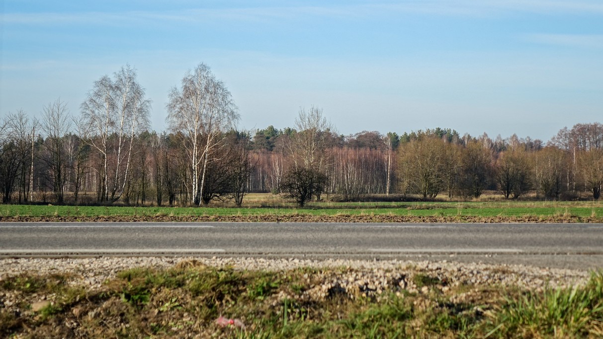 Listopad w obiektywie - zdjęcie 50