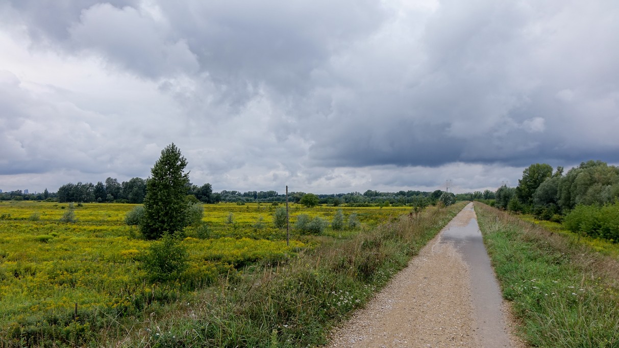 Sierpień w obiektywie - zdjęcie 28