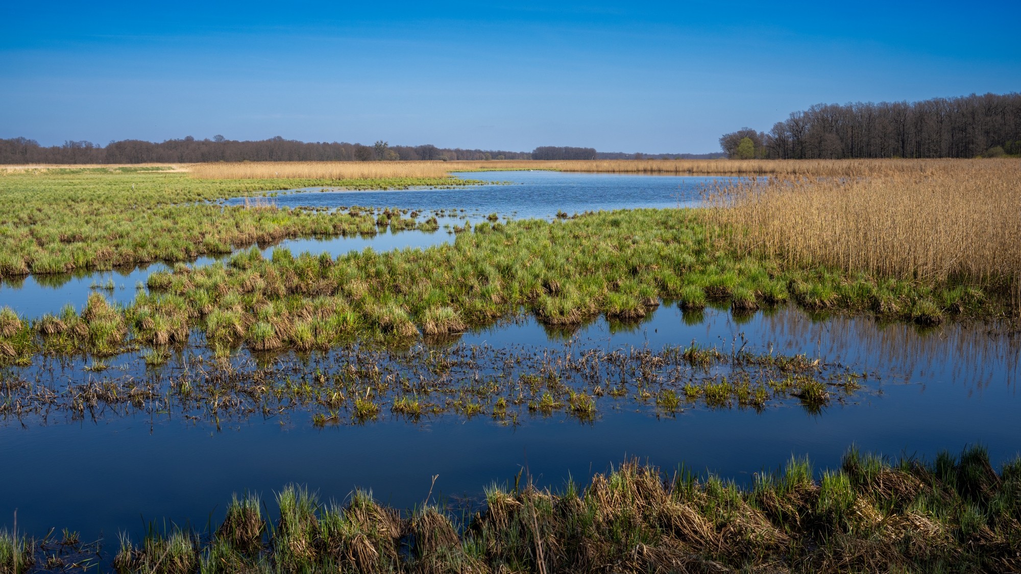 Wiosenna opowieść - zdjęcie 42