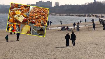 Tłumy ruszyły na plaże. To najlepszy czas na szukanie "złota Bałtyku"