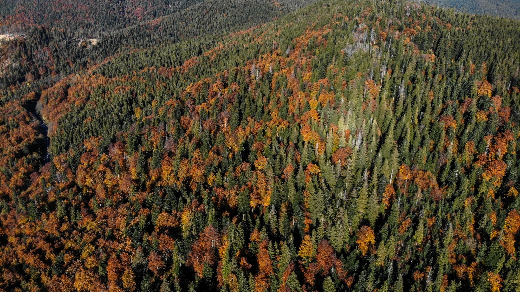 Jesień w górach z lotu ptaka - zdjęcie 6