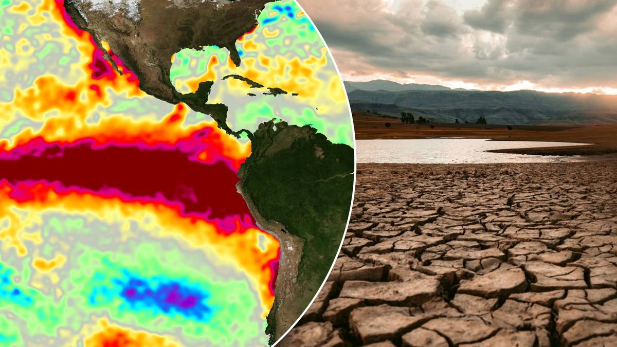 El Niño o sile „Godzilli” może zabić 450 tys. osób do lutego 2027 roku