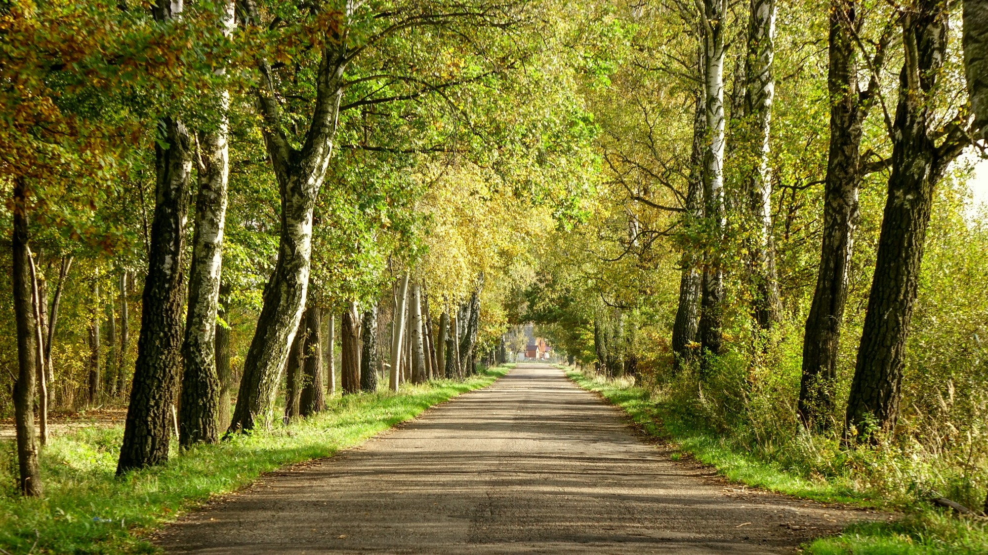 Urocze zakątki w lasach - zdjęcie 97