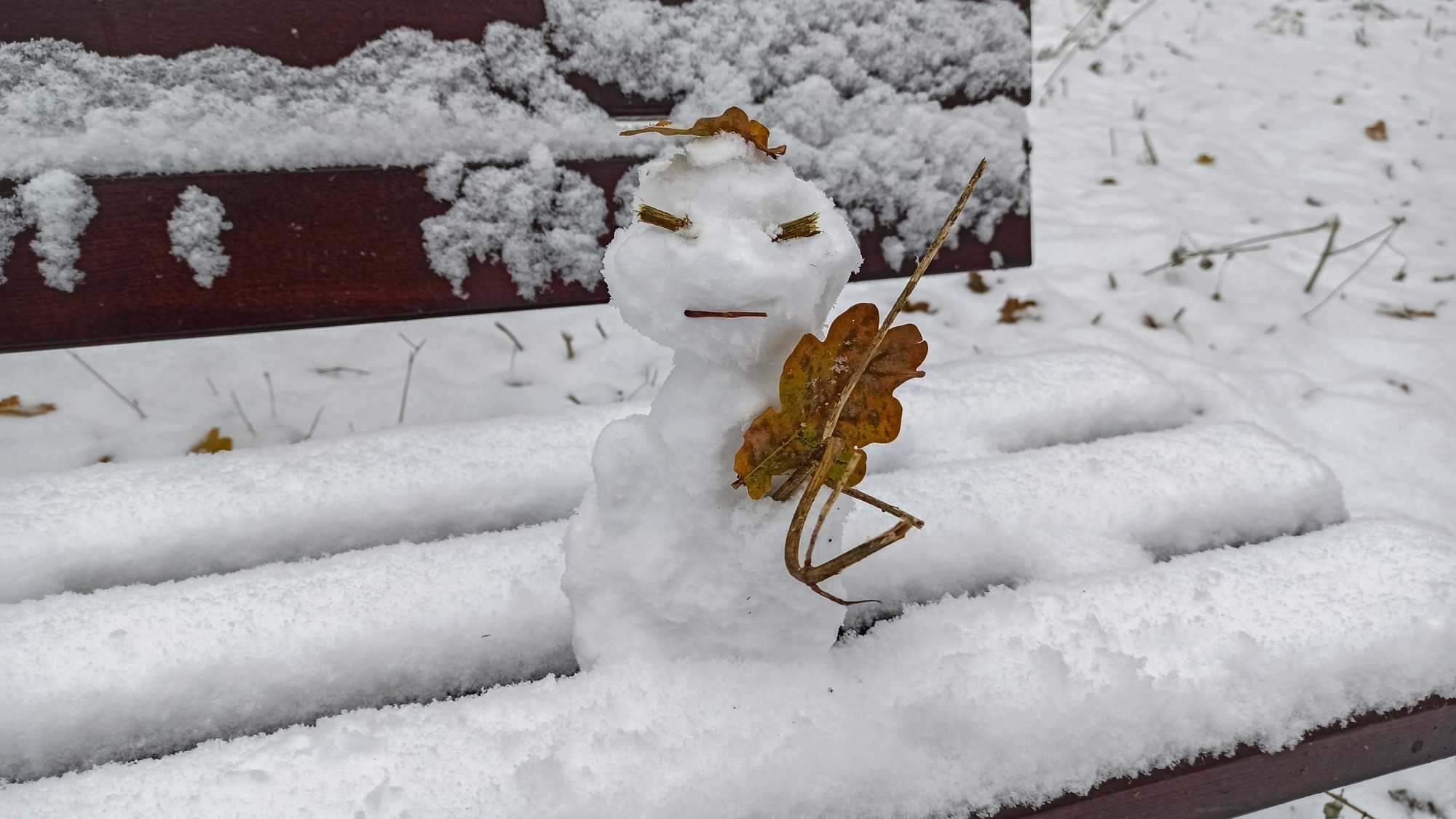 100 najpiękniejszych zdjęć 2020 roku - zdjęcie 18