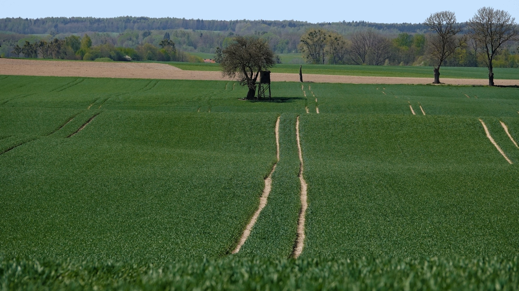 W maju jak w raju - zdjęcie 45