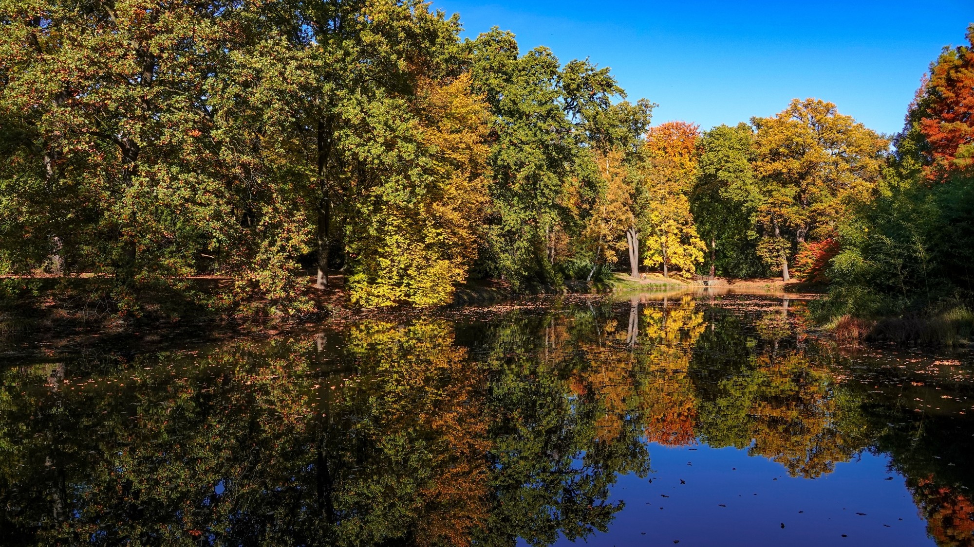 Wypoczynek nad wodą - zdjęcie 21