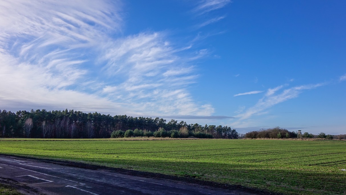 Styczeń w obiektywie - zdjęcie 38