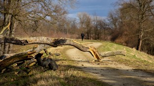 05.04.2022 05:56 Tysiące odbiorców bez prądu, zerwane dachy, połamane drzewa. Zobacz skutki wichury Mirella