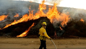 Pożary lasów w Kalifornii. Ewakuowano mieszkańców przedmieść Los Angeles