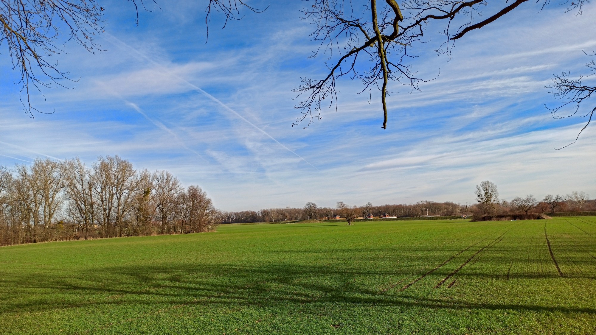 Najcieplejsza zima w historii - zdjęcie 11