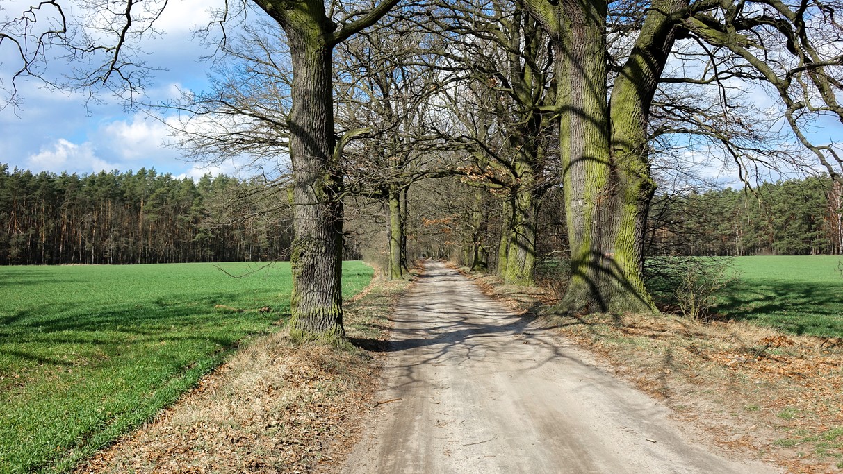 Marzec w obiektywie - zdjęcie 33