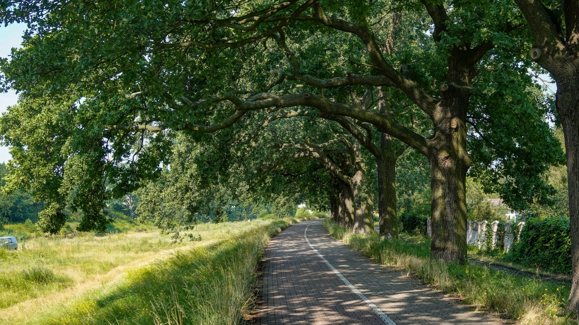 Podróż przez polską prowincję - zdjęcie 19