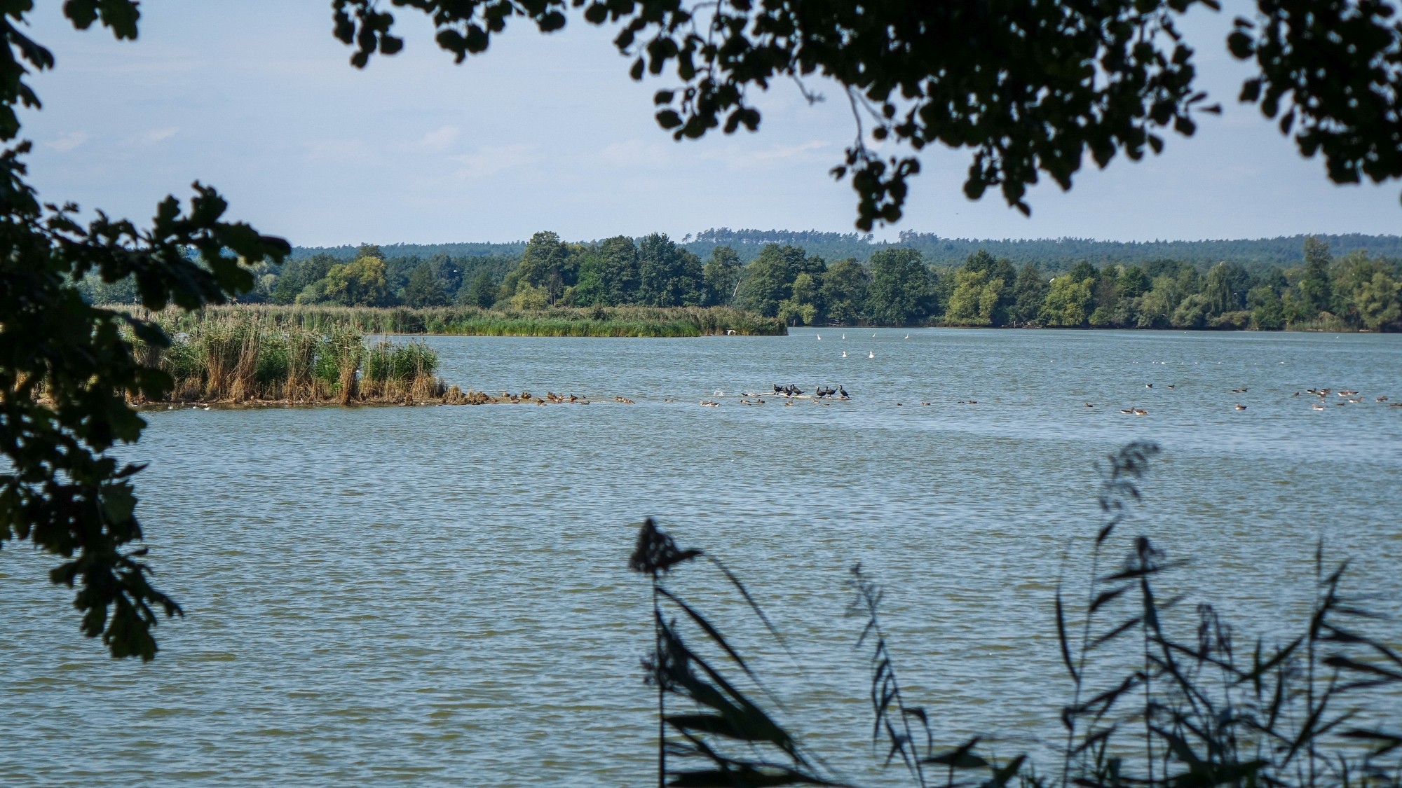 Wrzesień w obiektywie - zdjęcie 13