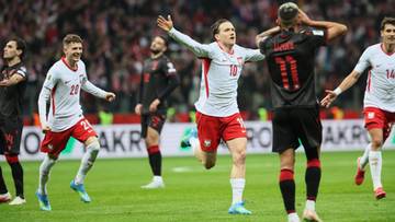 Baraże o mundial. Polska wygrywa z Albanią