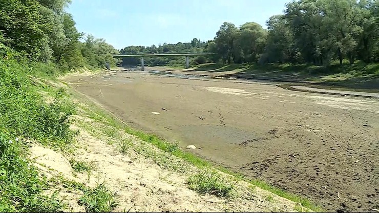 Susza w Polsce. Dramatycznie niski poziom wody w polskich rzekach