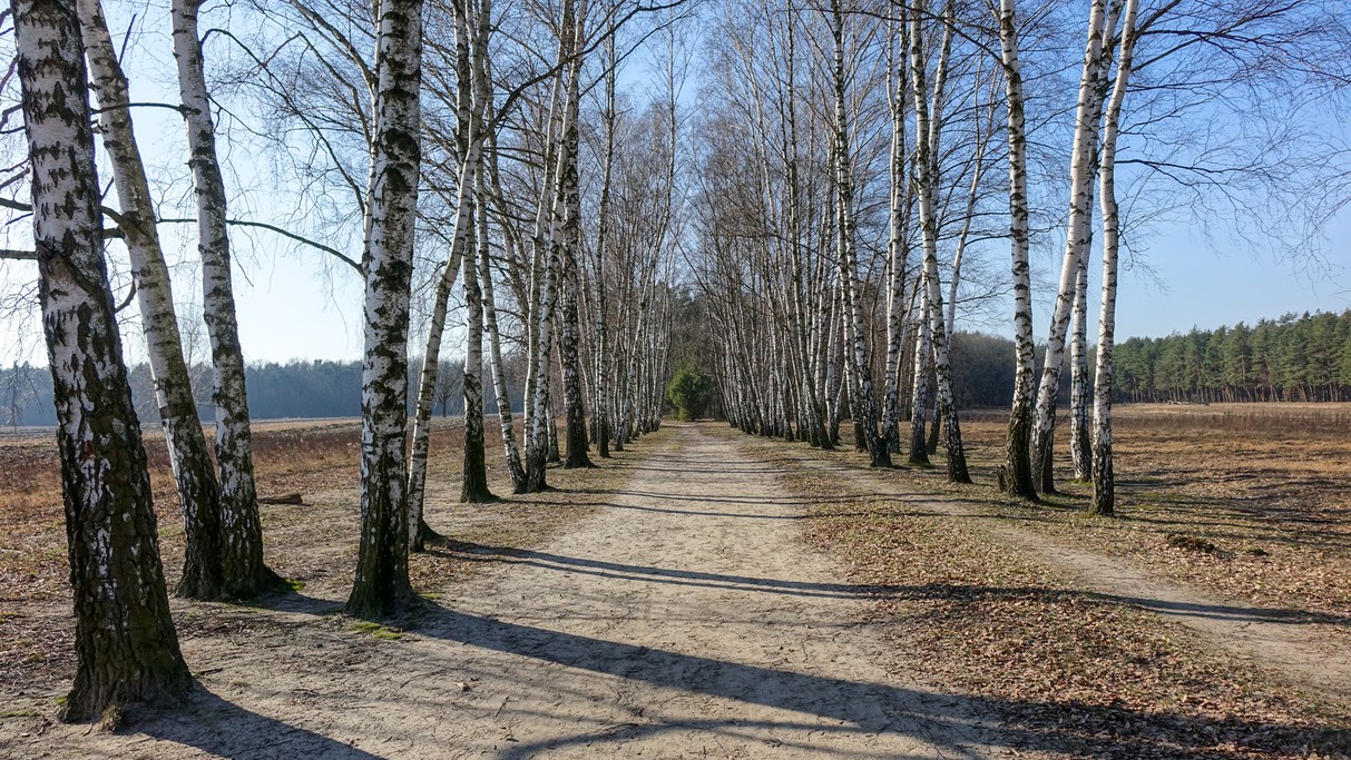 Luty w obiektywie - zdjęcie 8