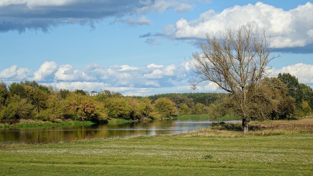 Uroki końca lata - zdjęcie 6