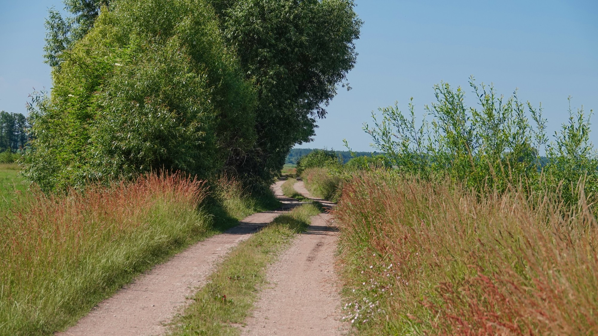 Lato w plenerze - zdjęcie 30