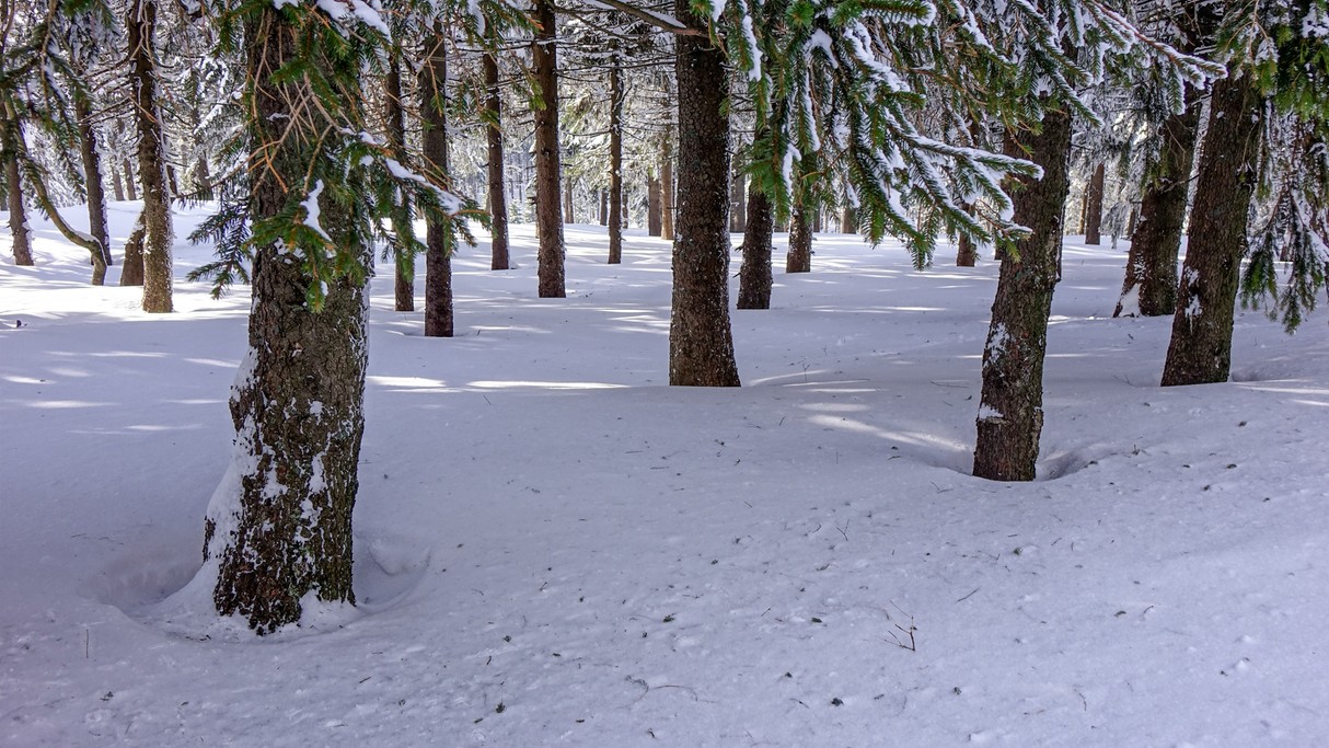 Zima w górach - zdjęcie 18