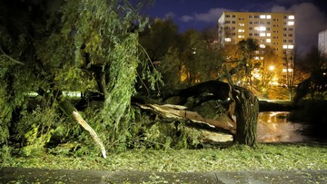 Ostrzeżenia przed silnym wiatrem. Będzie wiało nawet 90 km/h