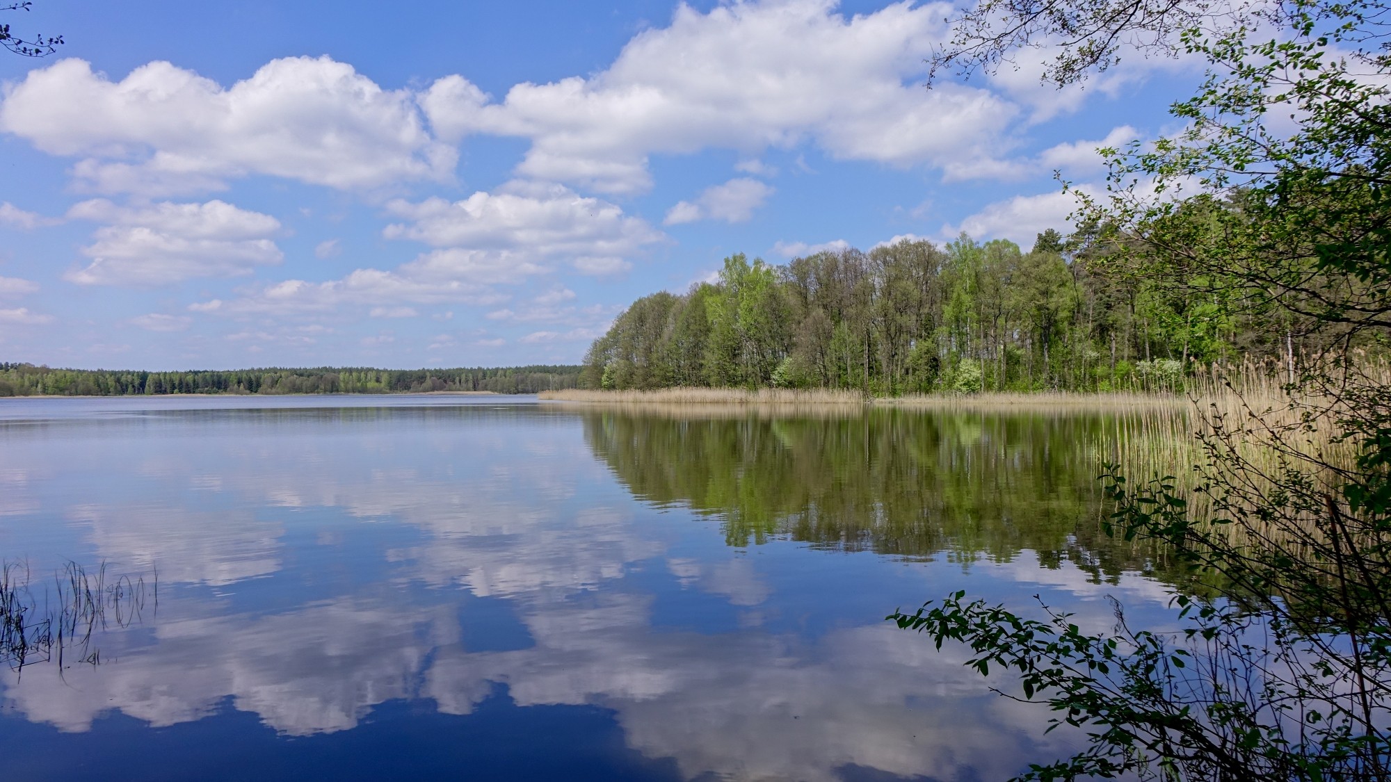 Mazury wiosną - zdjęcie 21