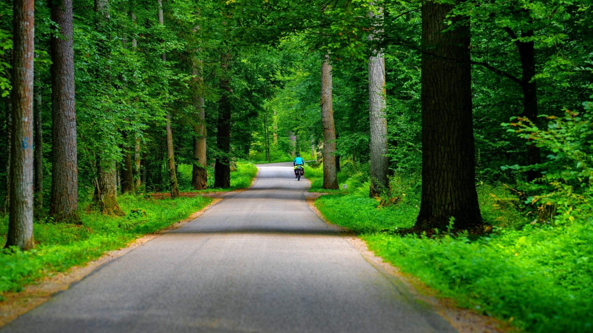 Wśród natury - zdjęcie 37