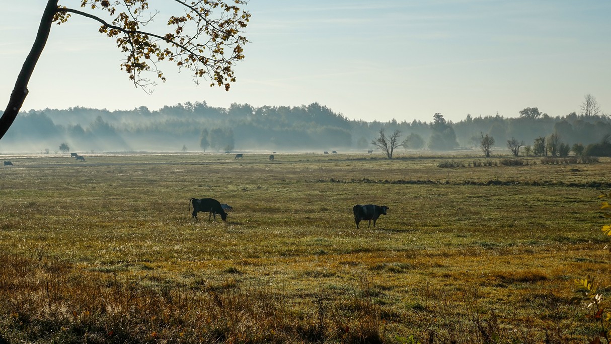 Podróż przez jesienną Polskę - zdjęcie 53