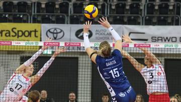 Eksperci ocenili nowelizację siatkarskich przepisów. "Oczy bolą..."