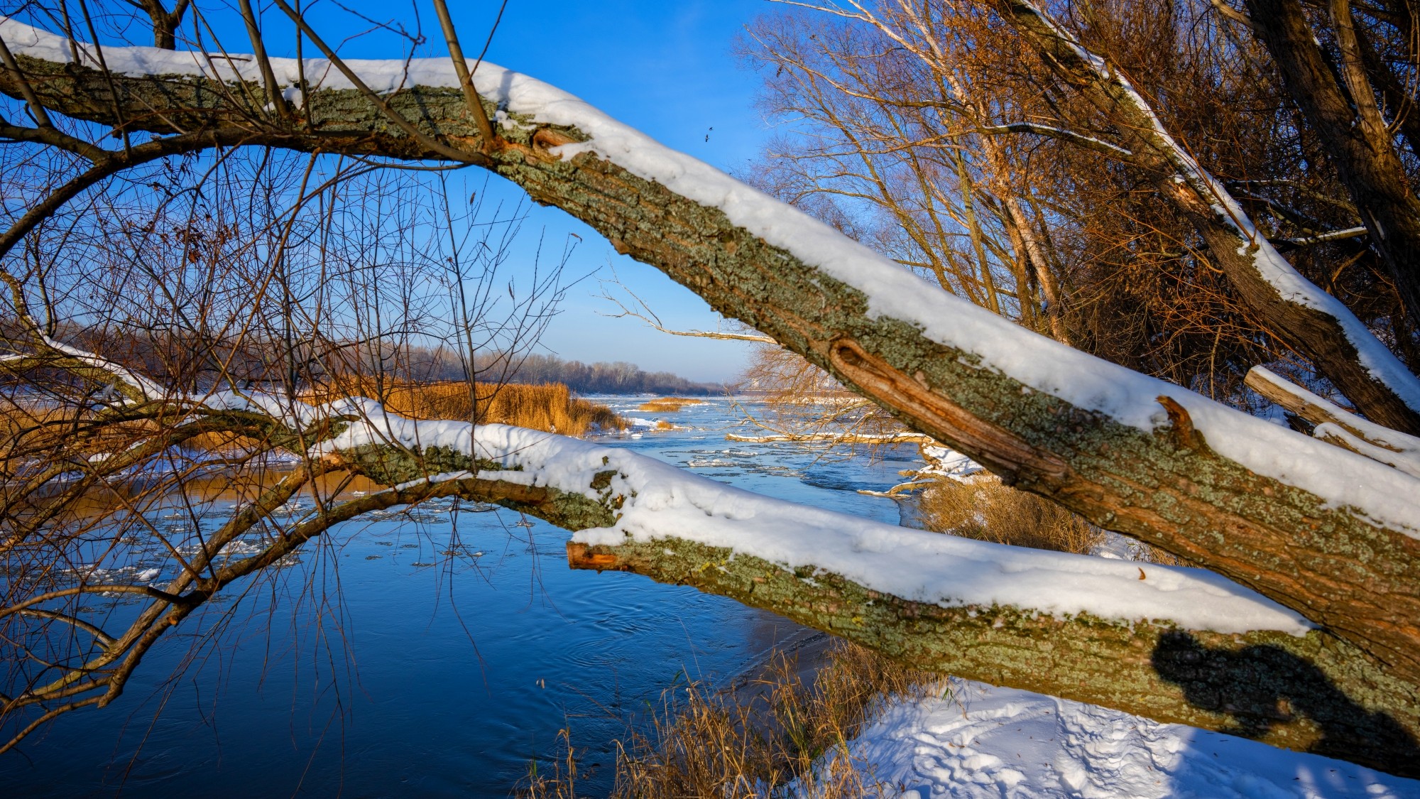 Różne oblicza zimy - zdjęcie 38