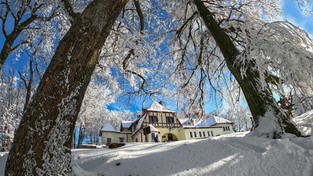 20.02.2021 09:30 Kraina śniegu i lodu rodem z Narnii. Drzewa i krzewy zmieniły się w malownicze rzeźby