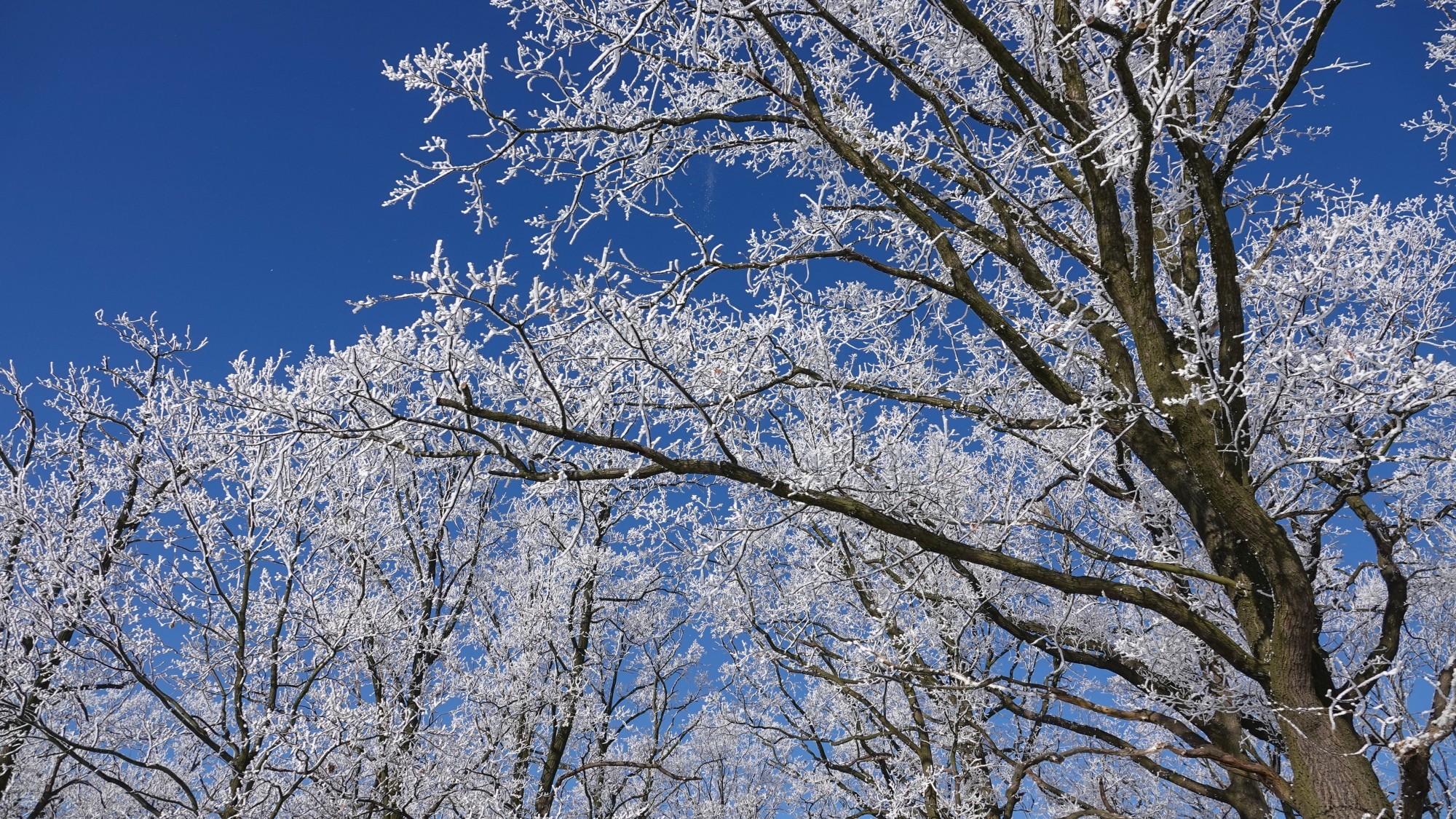 Kraina Narnii - zdjęcie 20