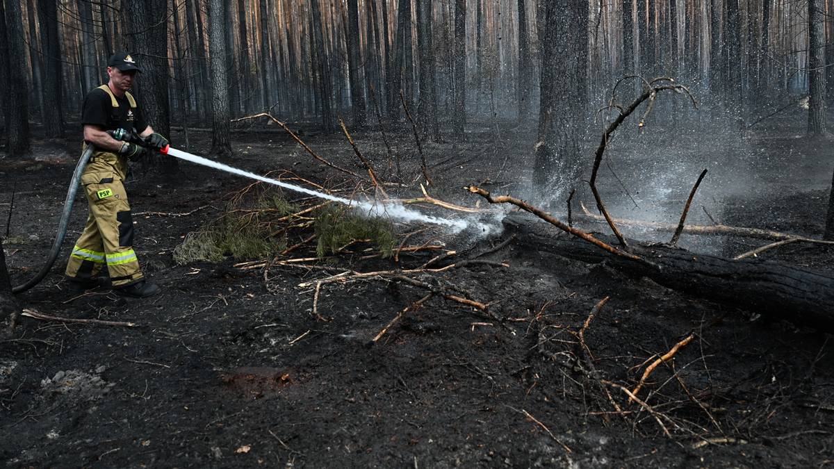 Trzecia doba walki z żywiołem. Ponad 800 strażaków w akcji