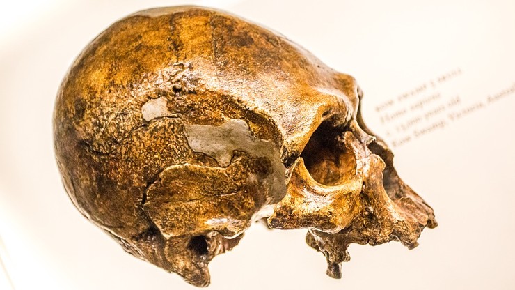 Na Śląsku odkryto pracownię krzemieniarską neandertalczyków. Ma około 60 tys. lat