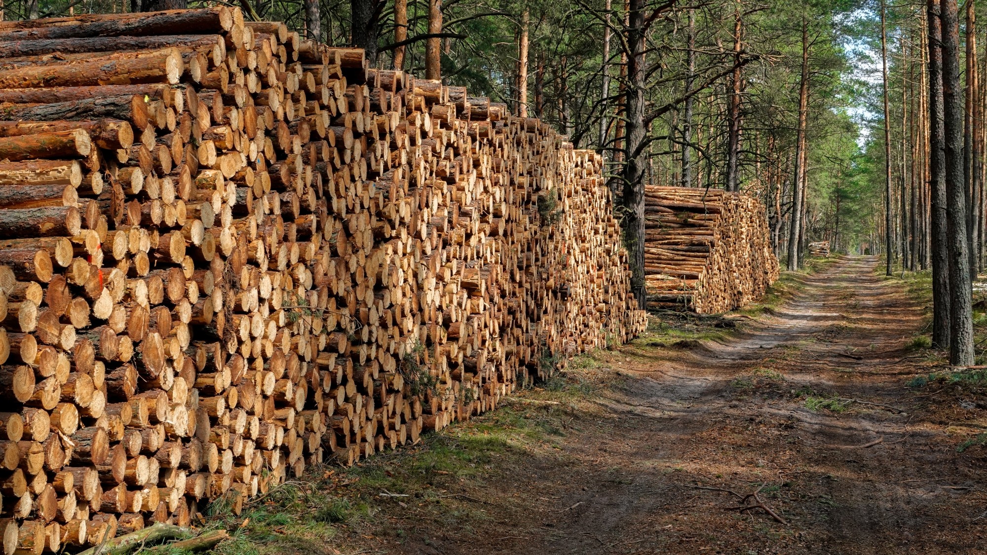 Kwiecień w obiektywie - zdjęcie 68