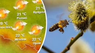 05.03.2022 06:00 Prognoza 16-dniowa: Kiedy możemy się spodziewać ciepłych i słonecznych dni? Sprawdź