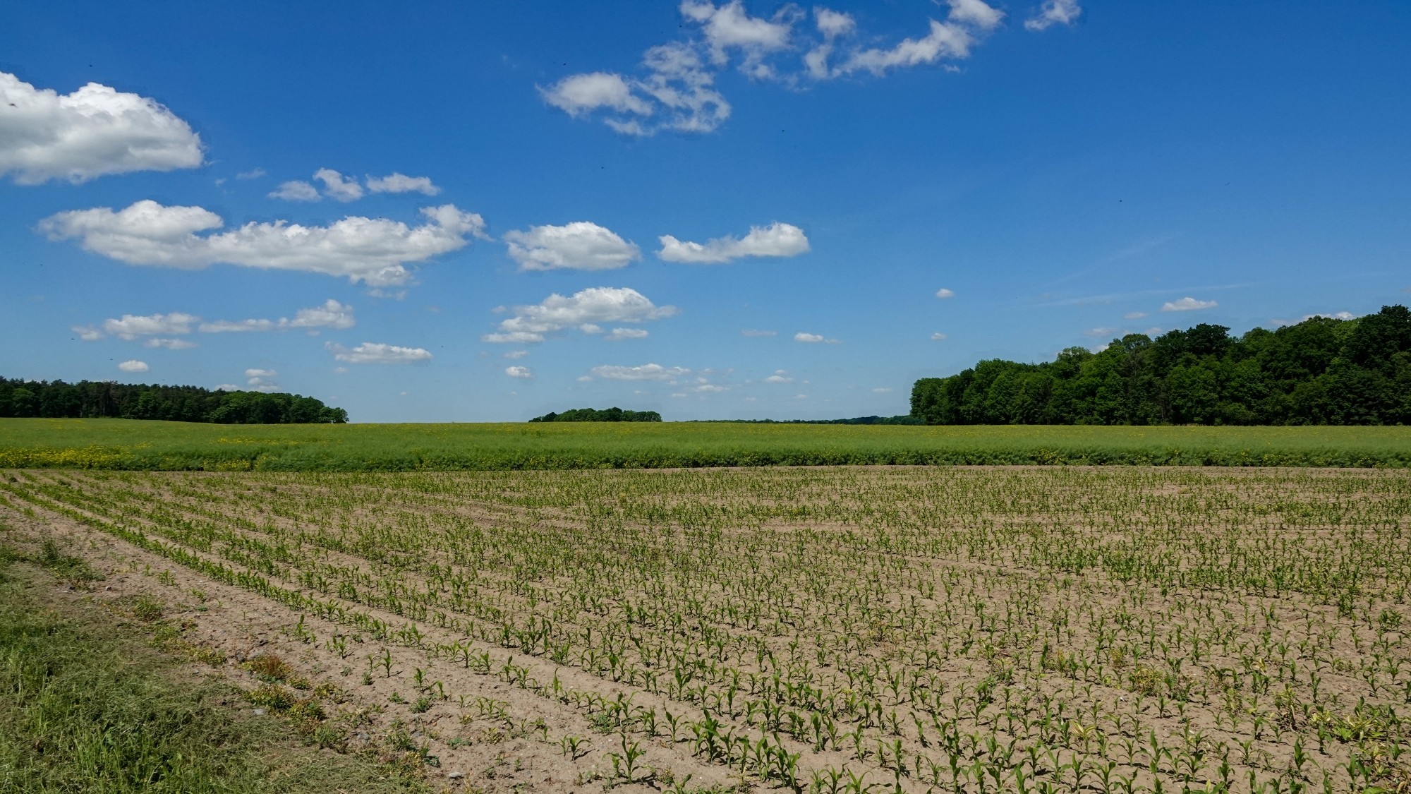 Uroki zielonej pory roku - zdjęcie 60