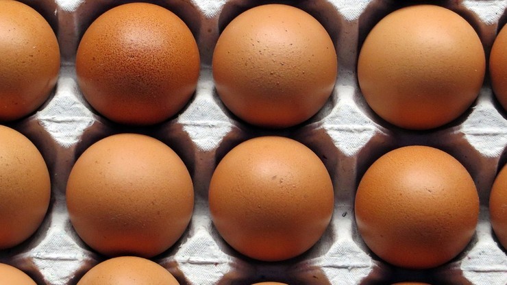 Główny Inspektorat Sanitarny ostrzega przed salmonellą na skorupkach jaj