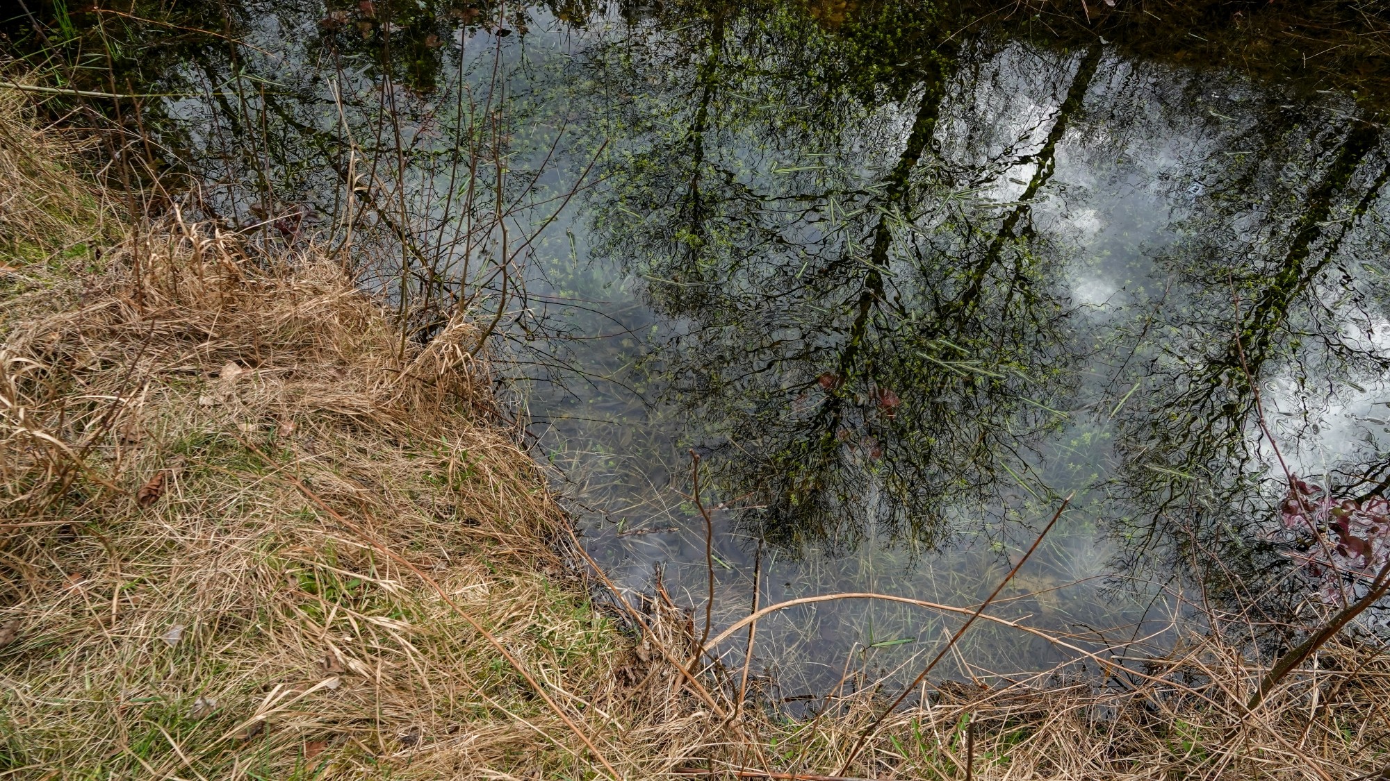 Marzec w obiektywie - zdjęcie 39