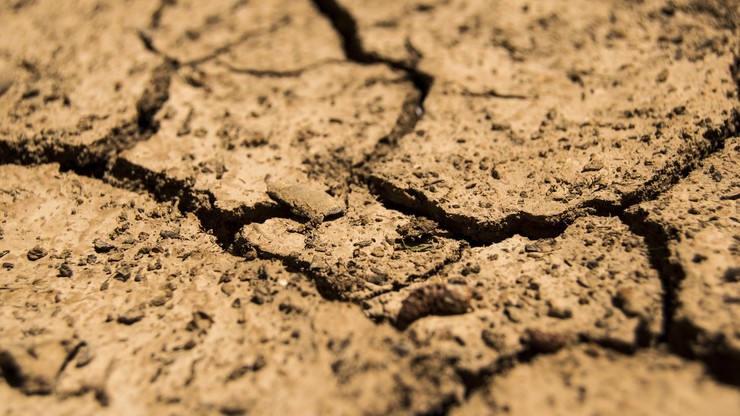 Plan przeciwdziałania skutkom suszy ma być gotowy do końca 2020 roku