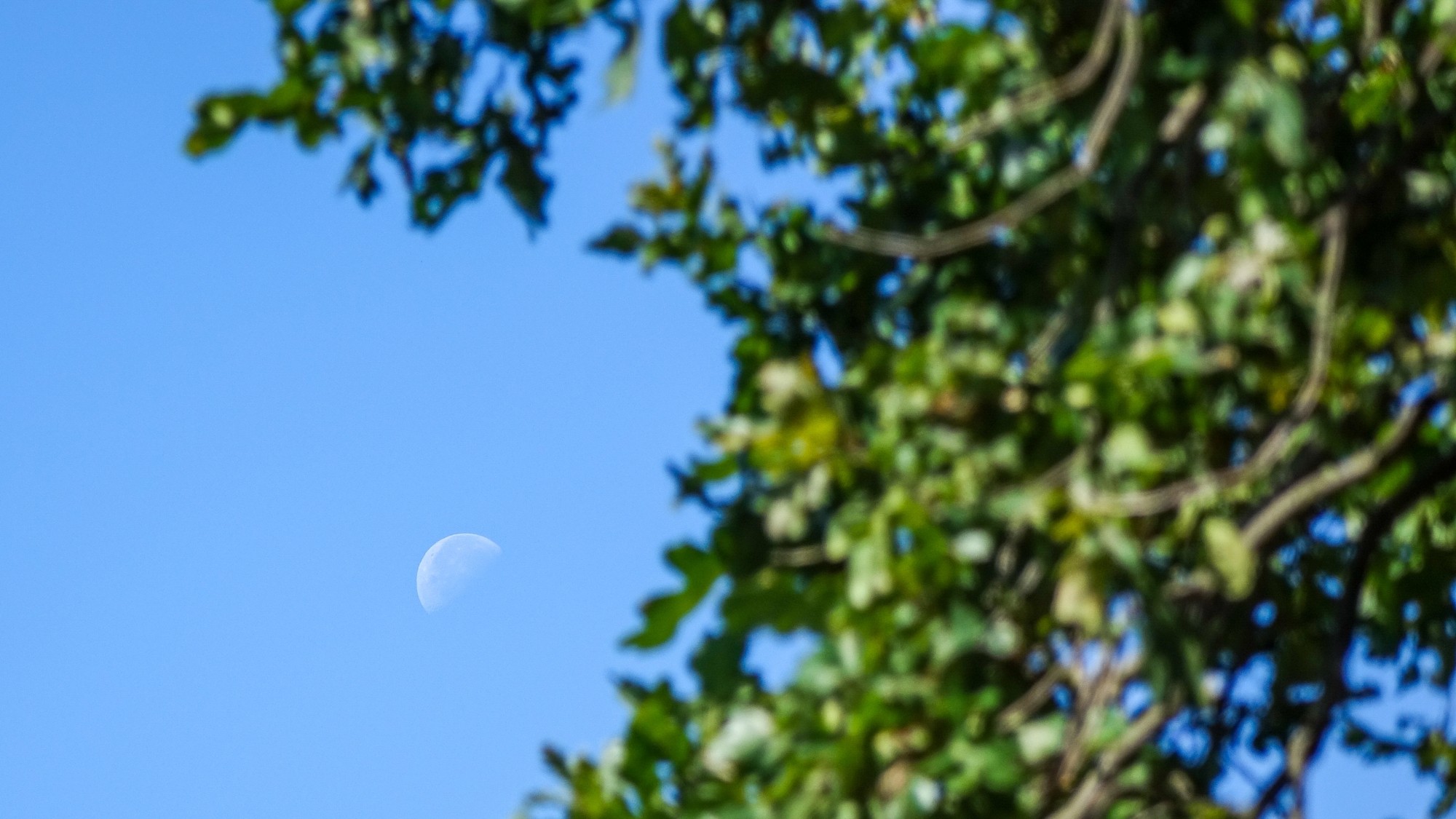 Wrzesień w obiektywie - zdjęcie 26