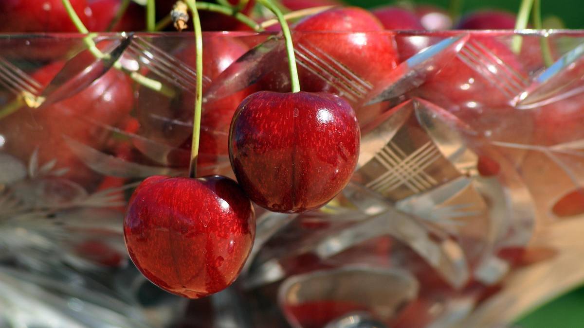 Czereśnie droższe niż kiedykolwiek, nawet te z Polski. Ceny poszybowały w kosmos