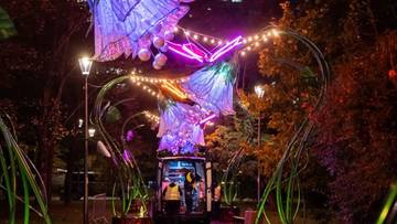 Iluminacje świetlne w kształcie gigantycznych kwiat&oacute;w rozświetlające nocną aleję parkową, pod kt&oacute;rymi stoi samoch&oacute;d dostawczy.