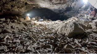 21.08.2021 05:53 Naukowcy odkryli jaskinię wypełnioną setkami tysięcy kości. Wiemy, skąd się tam wzięły