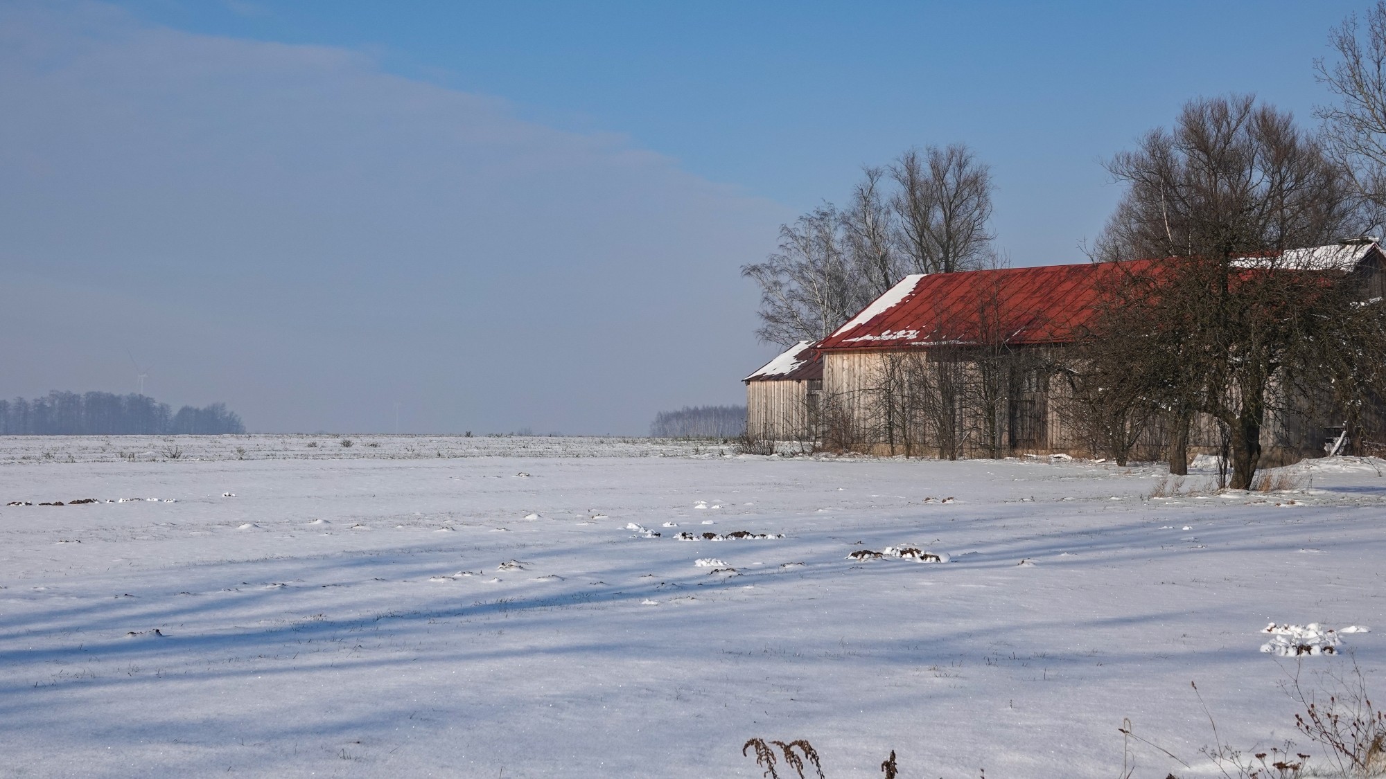 Na lodowym szlaku - zdjęcie 10