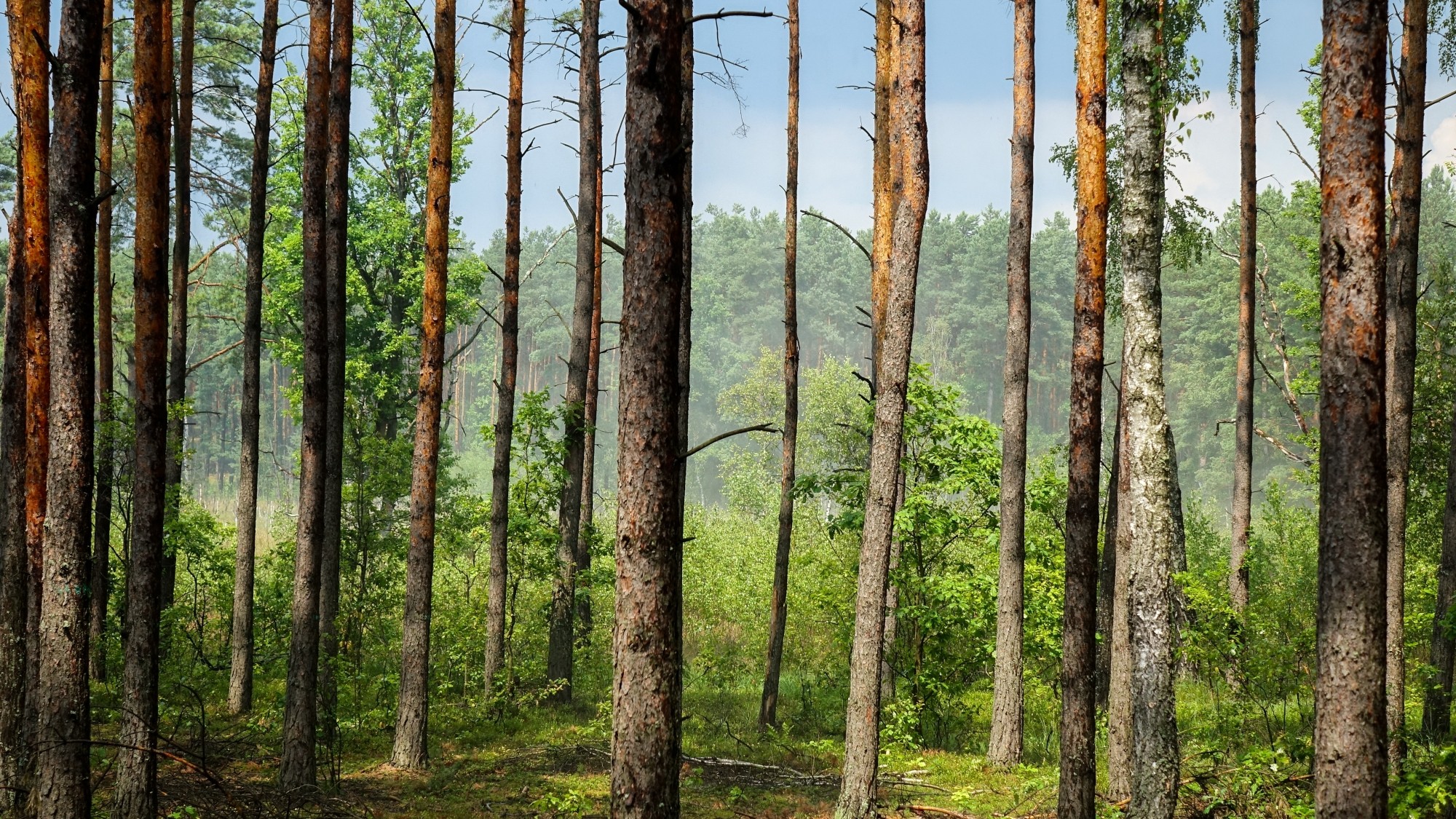 Lipiec w obiektywie - zdjęcie 33