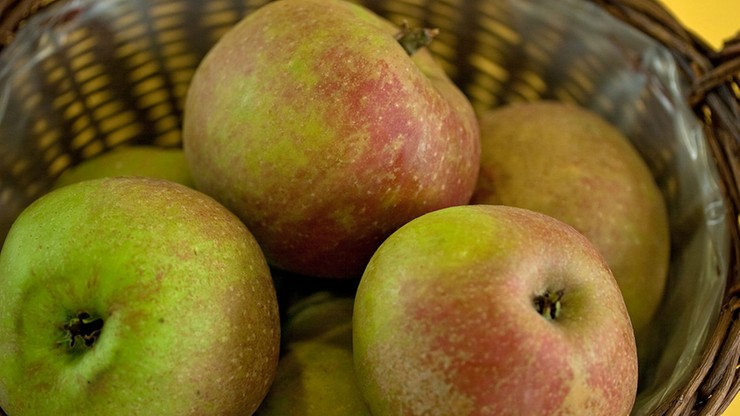 Polacy zbadali ile pestycydów spożywamy wraz z owocami. Zawierają je jabłka i cytrusy